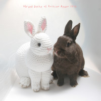 Amigurumi Realistic White Bunny  本物みたいな白いうさぎのあみぐるみ
